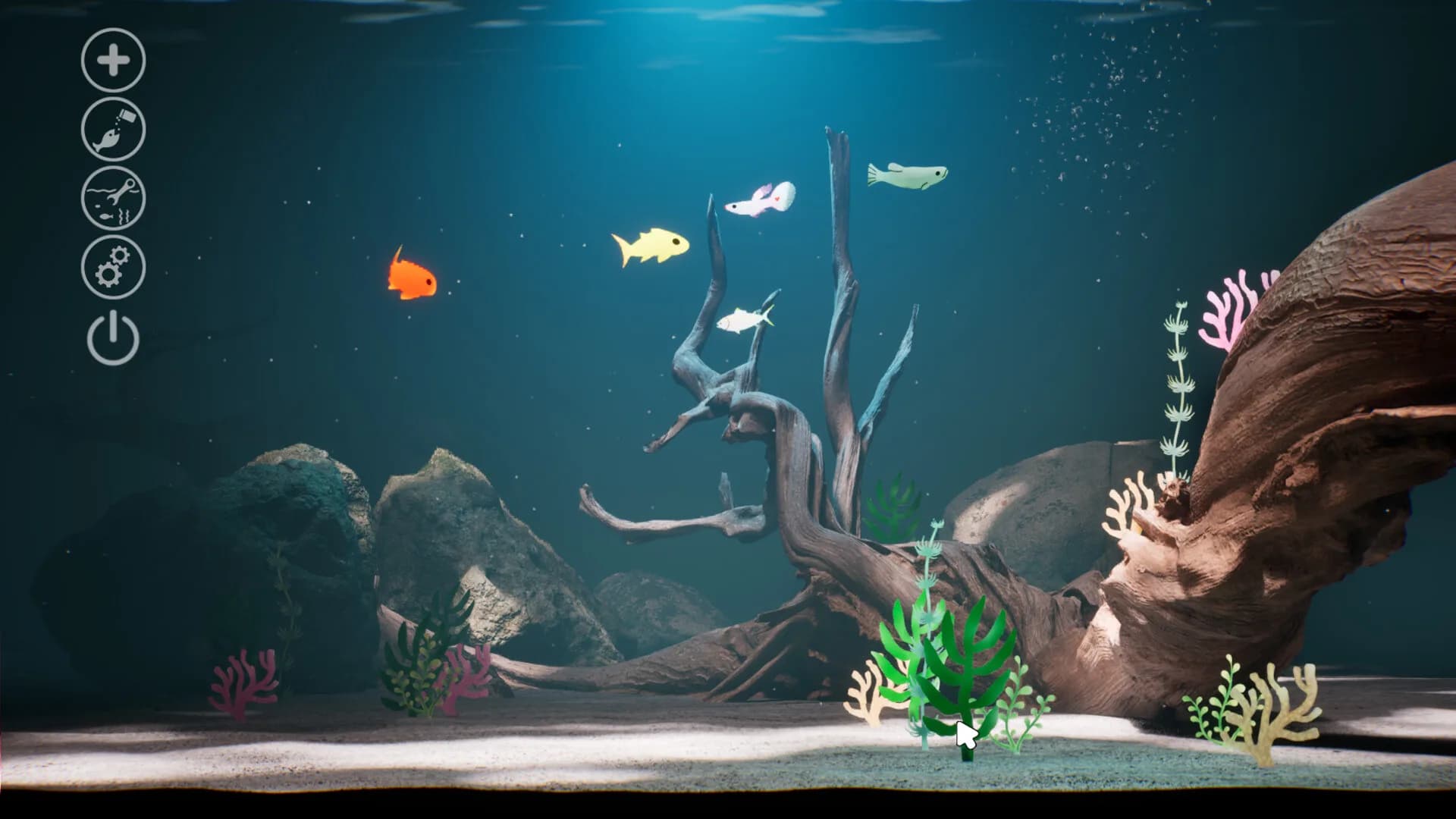 Drawquarium görsel 6