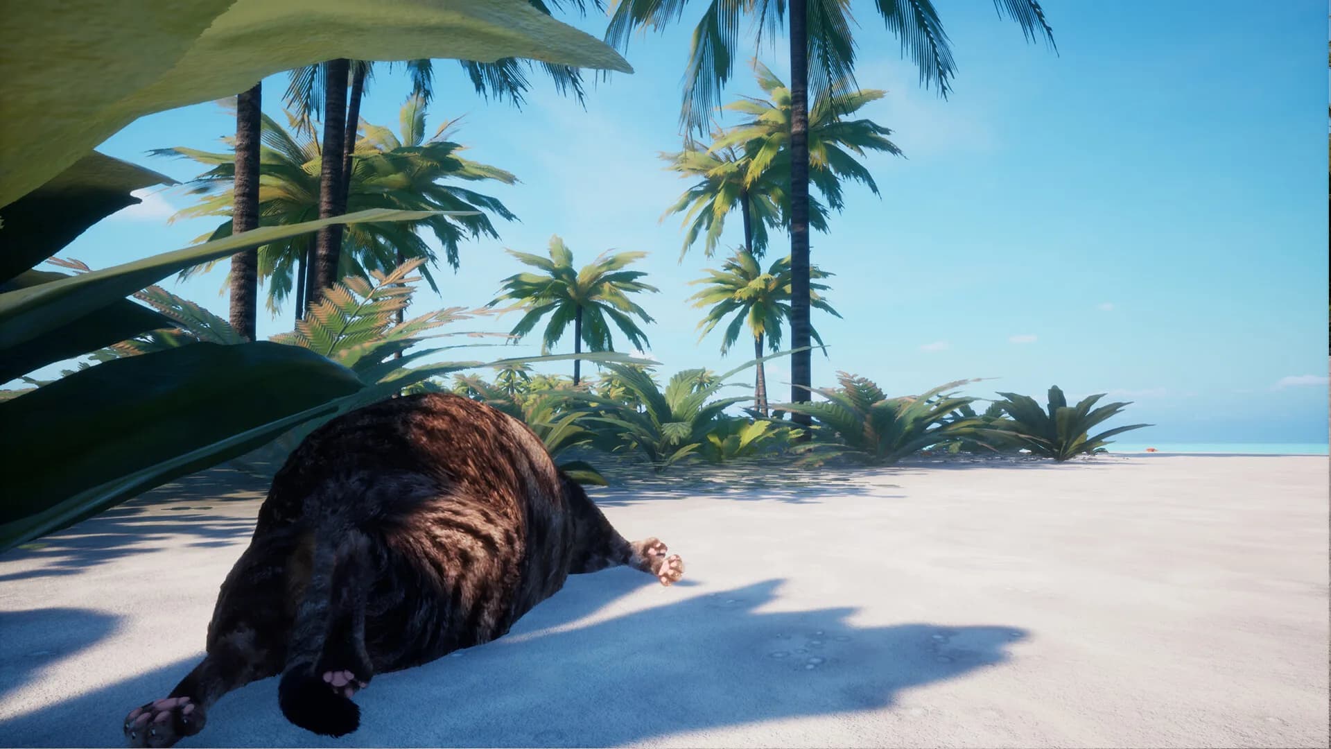 Chonky Cat görsel 2