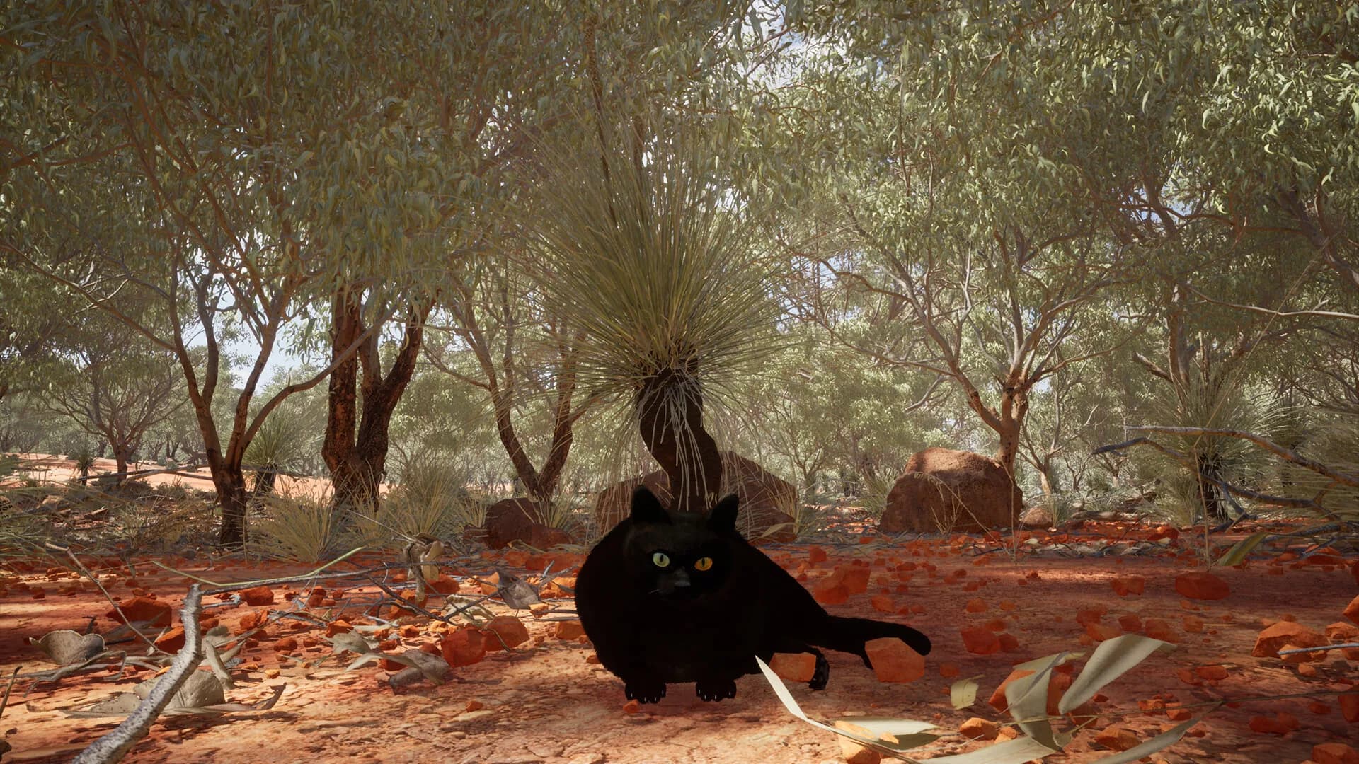 Chonky Cat görsel 3