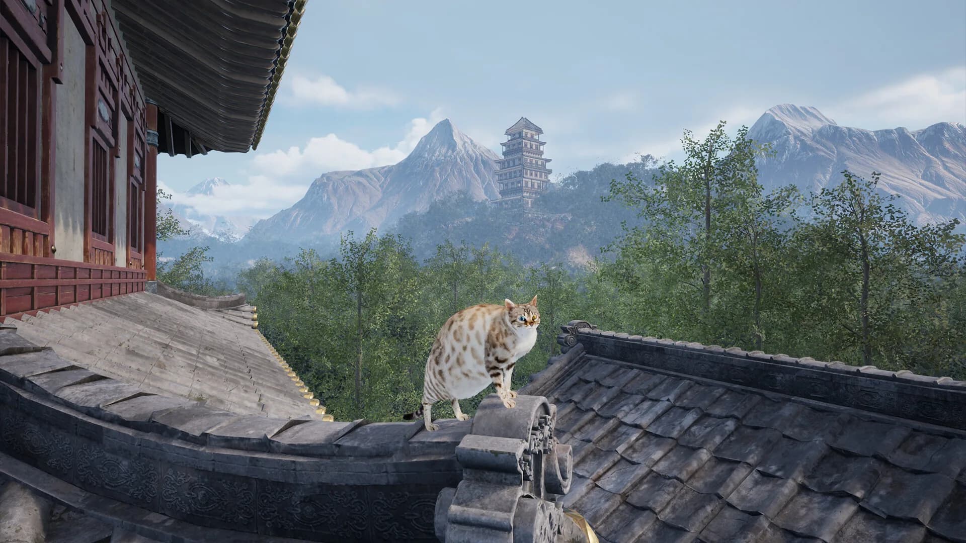 Chonky Cat görsel 5