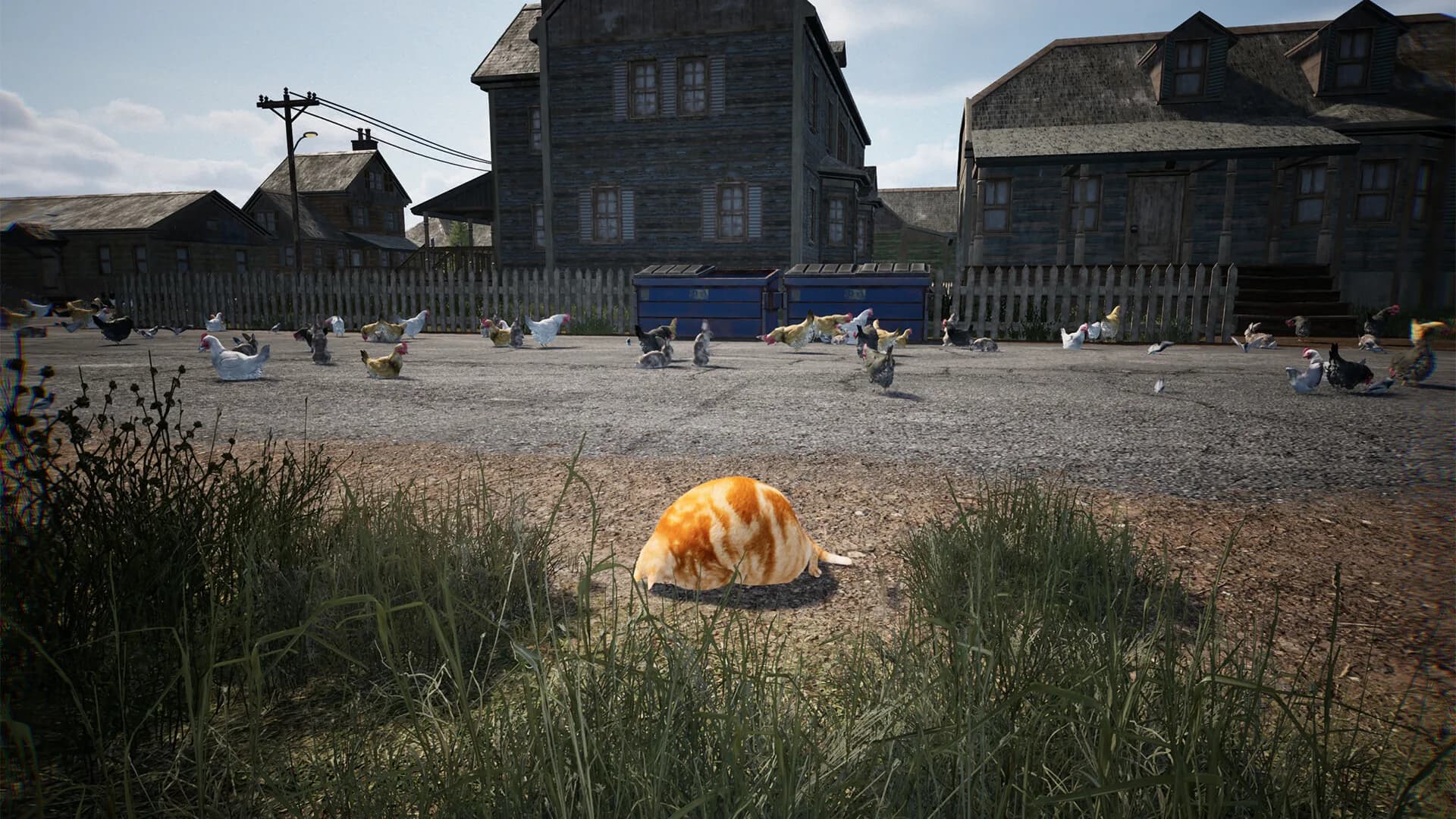 Chonky Cat görsel 7