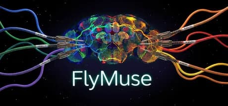FlyMuse görsel 1