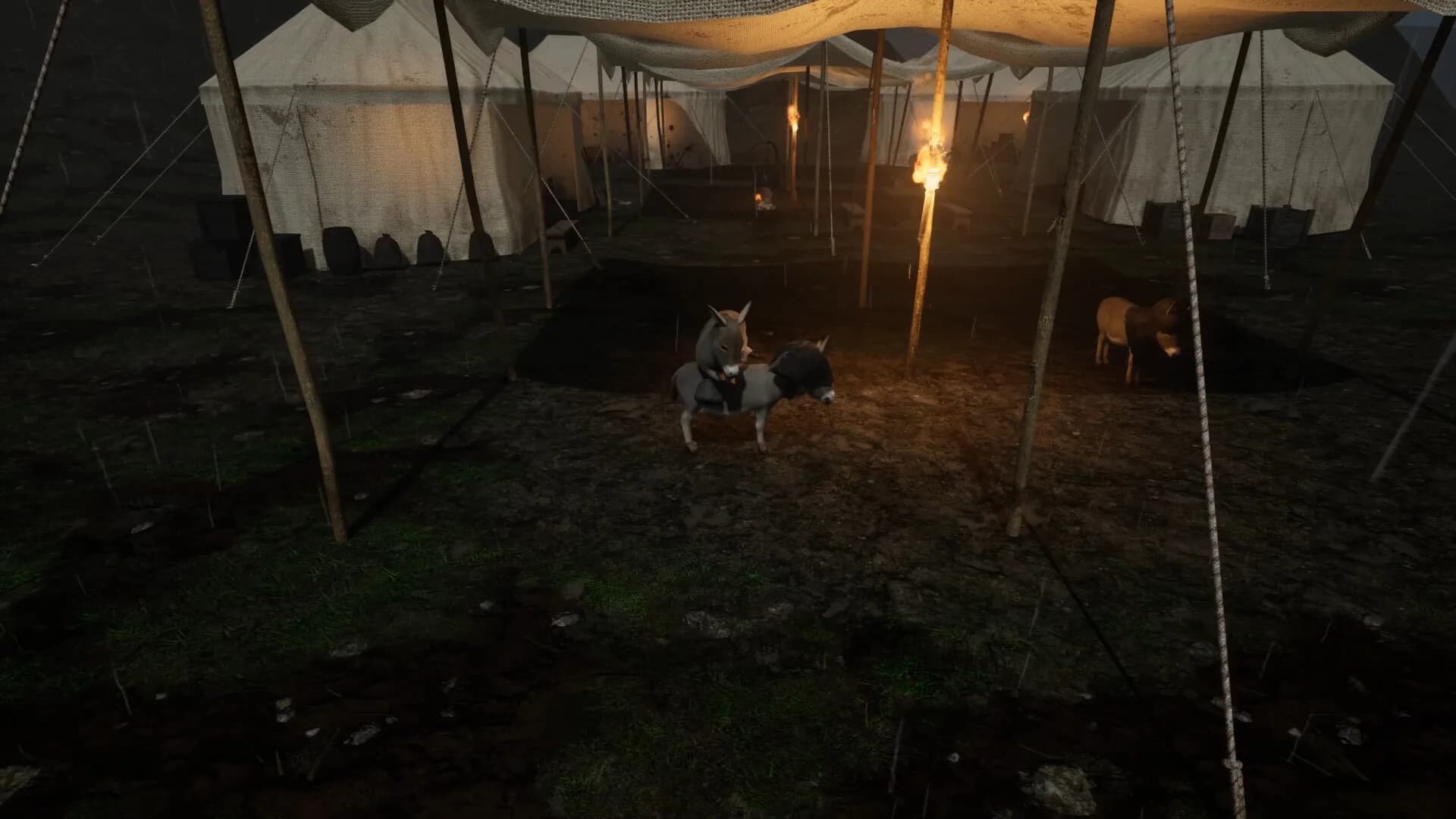 Immortal Donkey: 1346 görsel 7