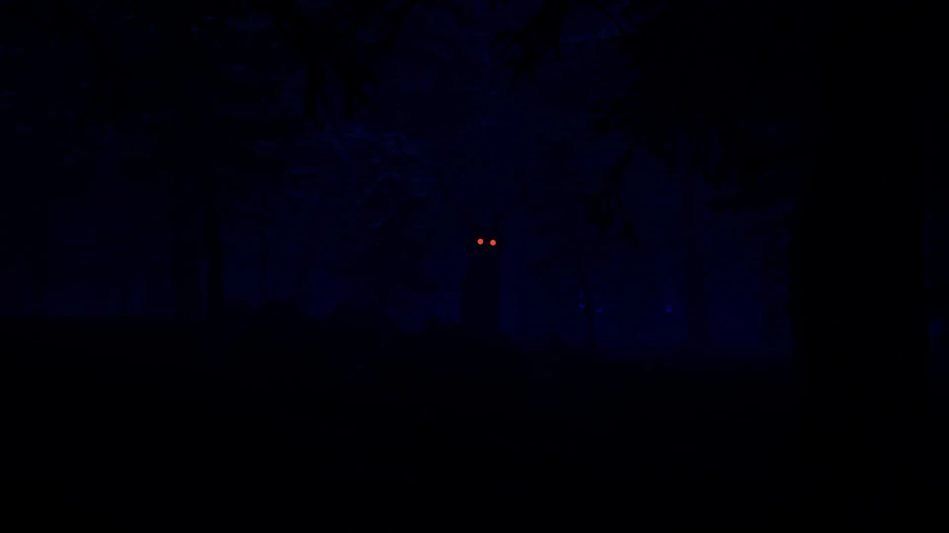88 NIGHTS IN THE FOREST görsel 5