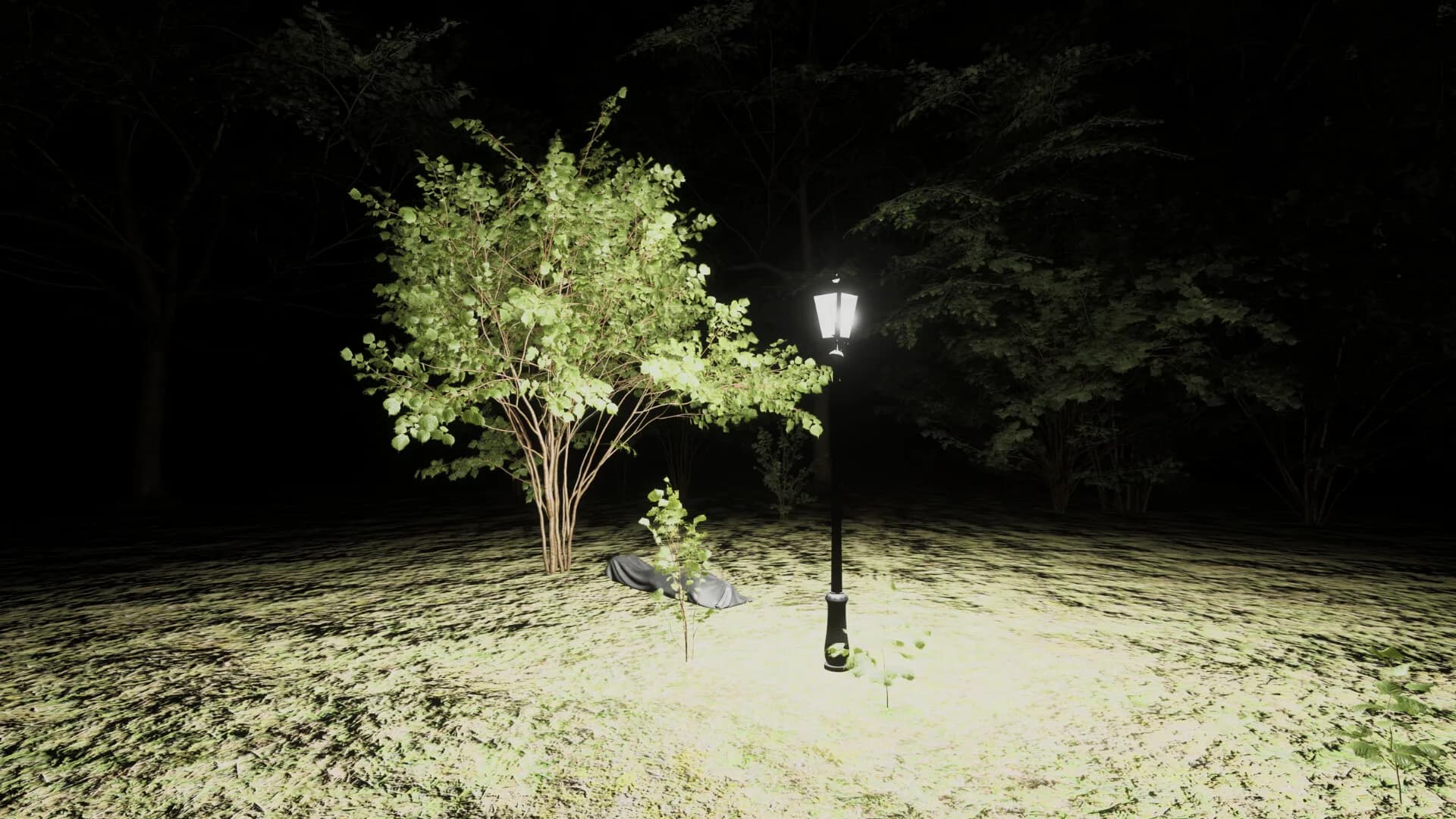Forest of Fear - Into the Woods görsel 3
