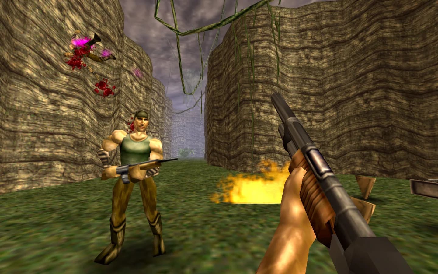 Turok görsel 2
