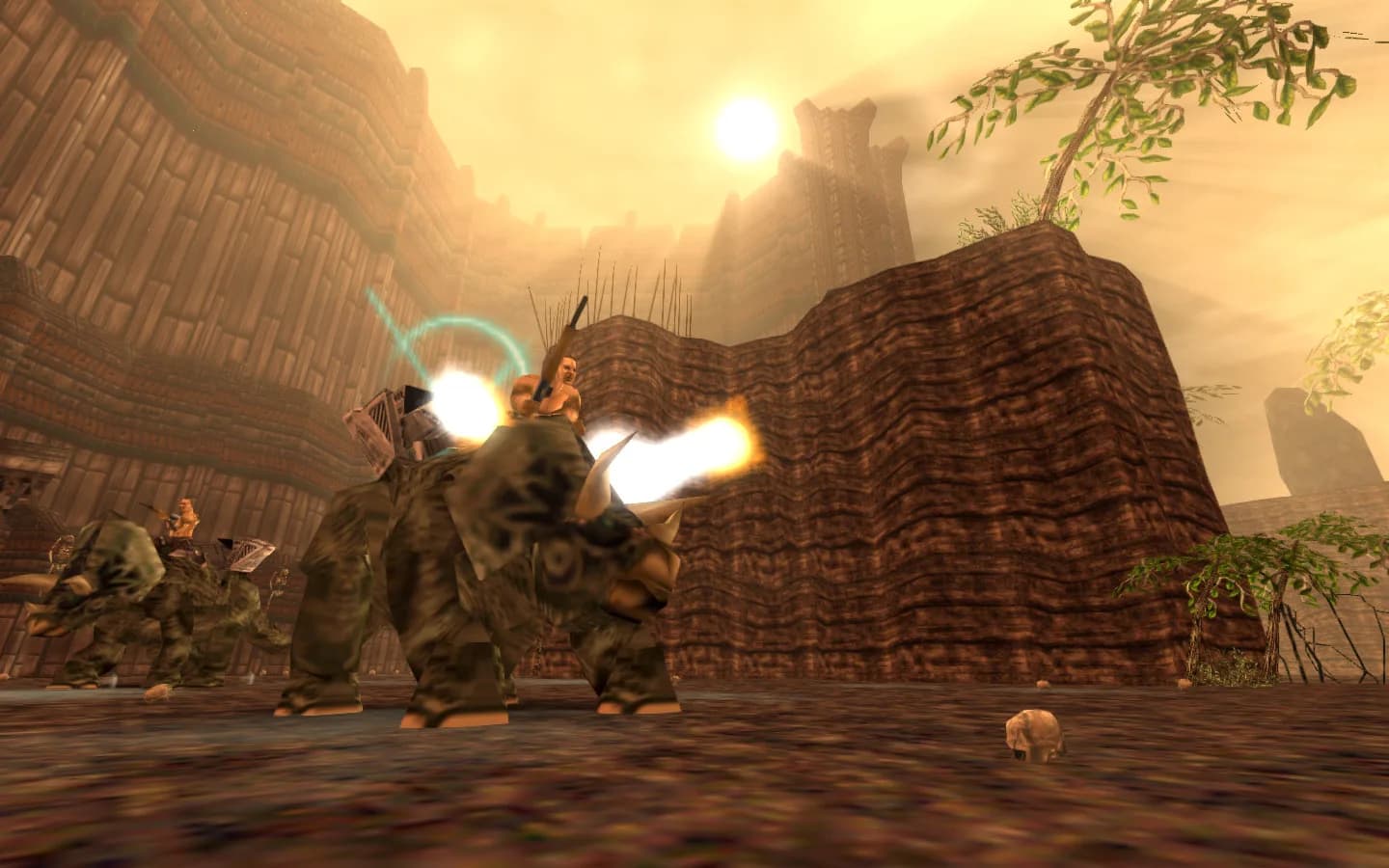 Turok görsel 3