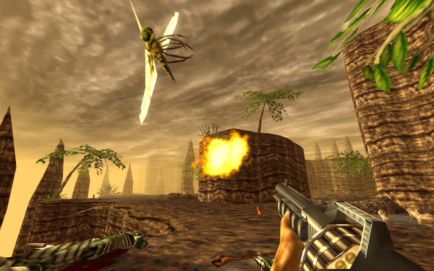 Turok görsel 5