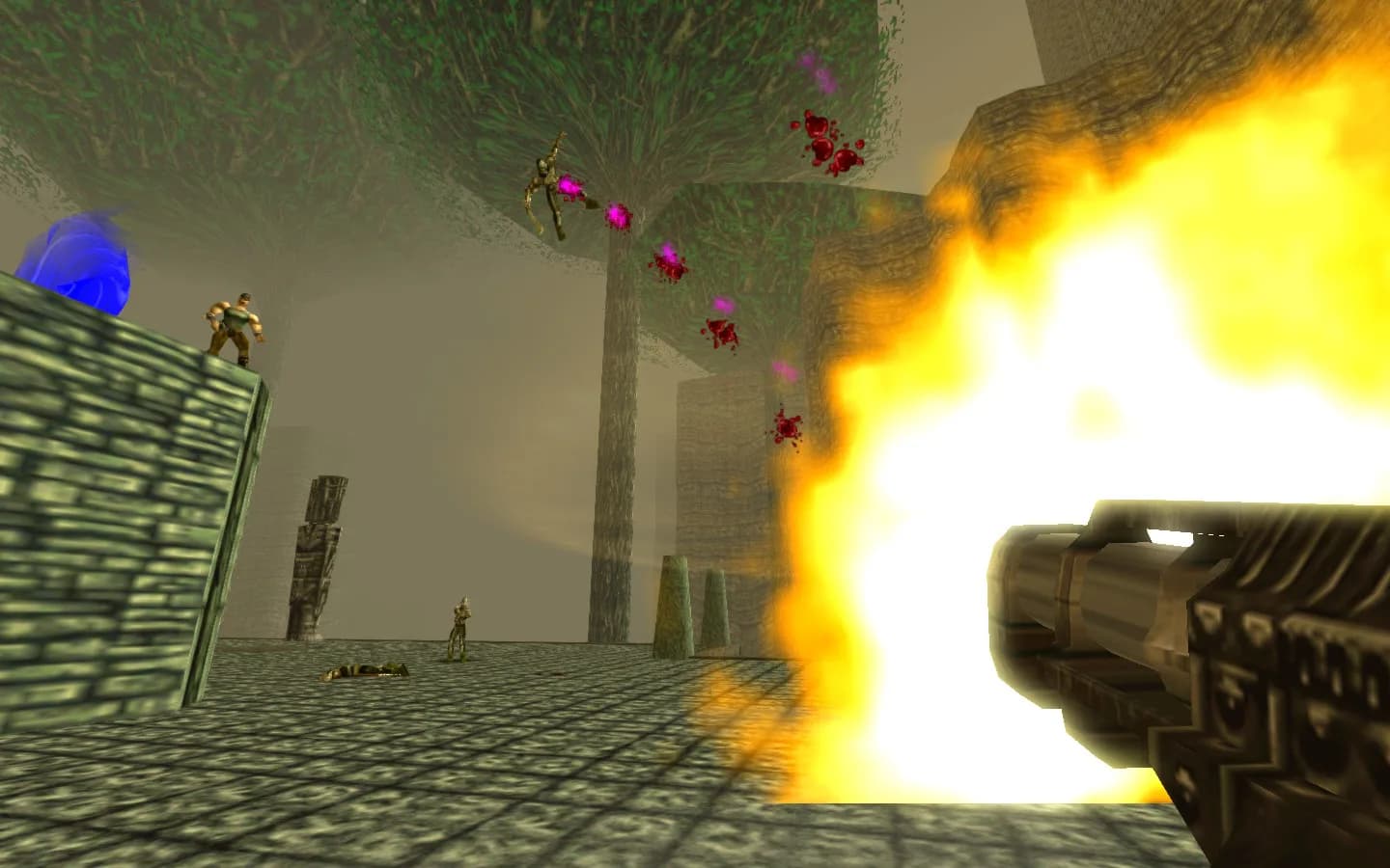 Turok görsel 8