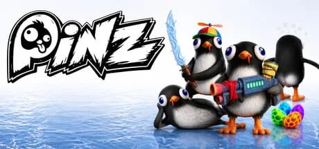 PINZ görsel 1