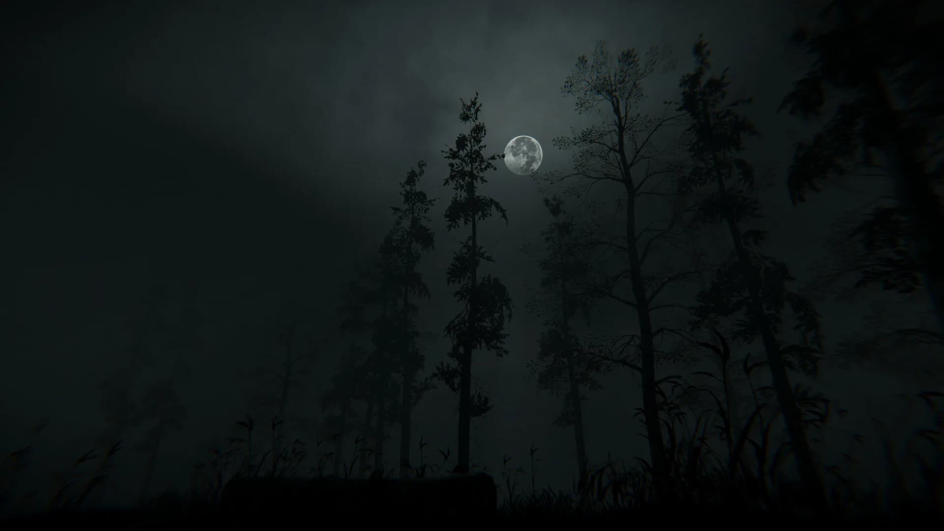 Withered Haven görsel 6