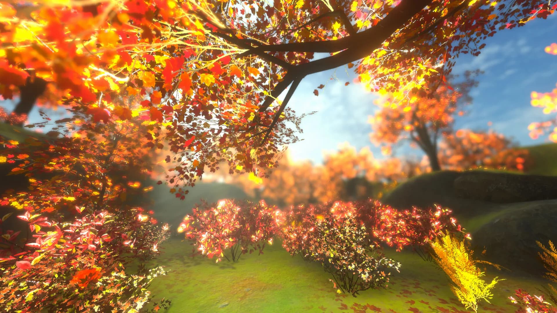 紅葉の泣き声 görsel 3
