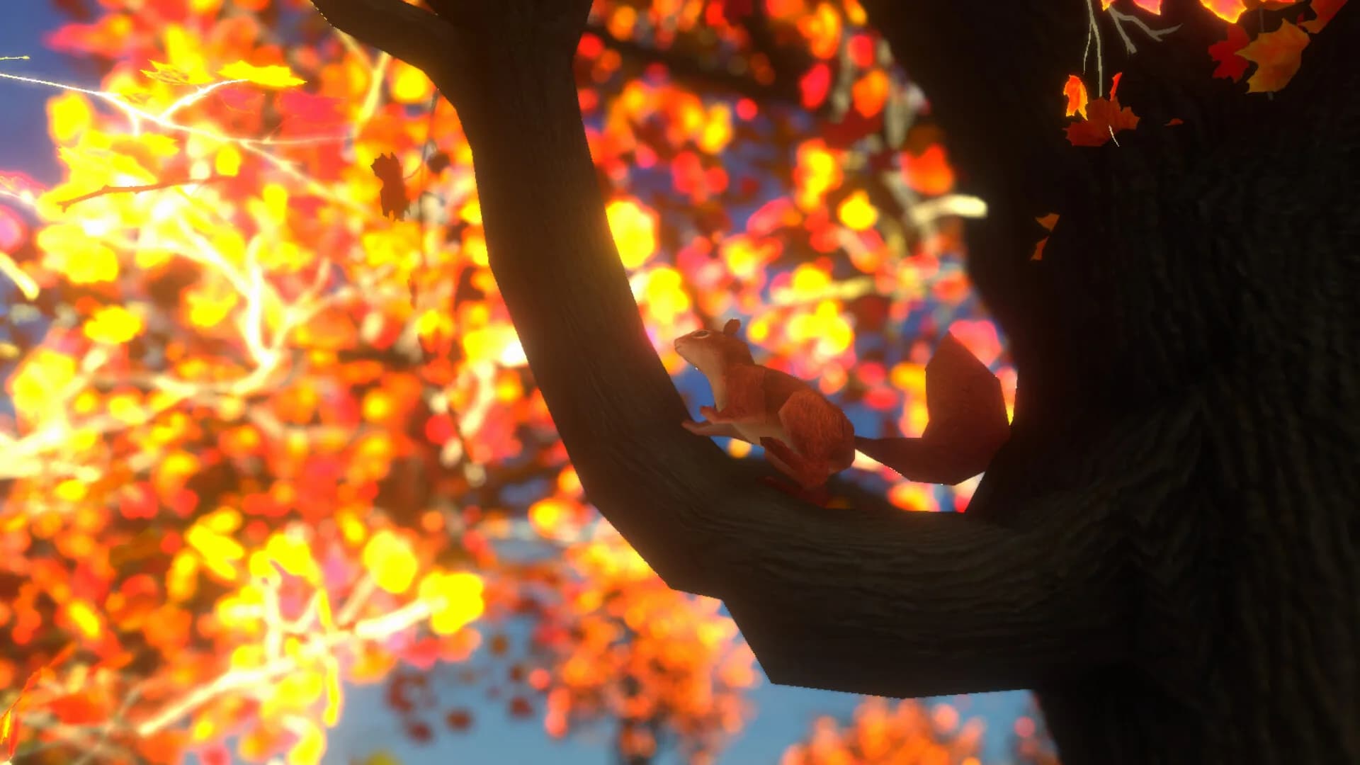 紅葉の泣き声 görsel 5