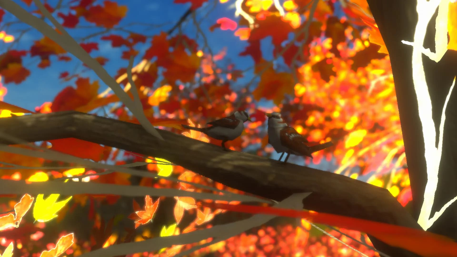 紅葉の泣き声 görsel 6