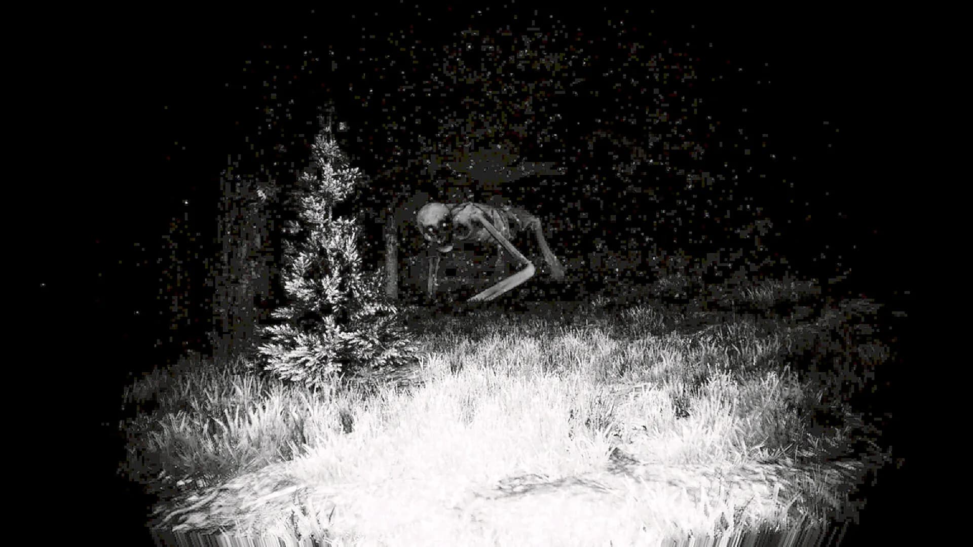 Prospice görsel 5