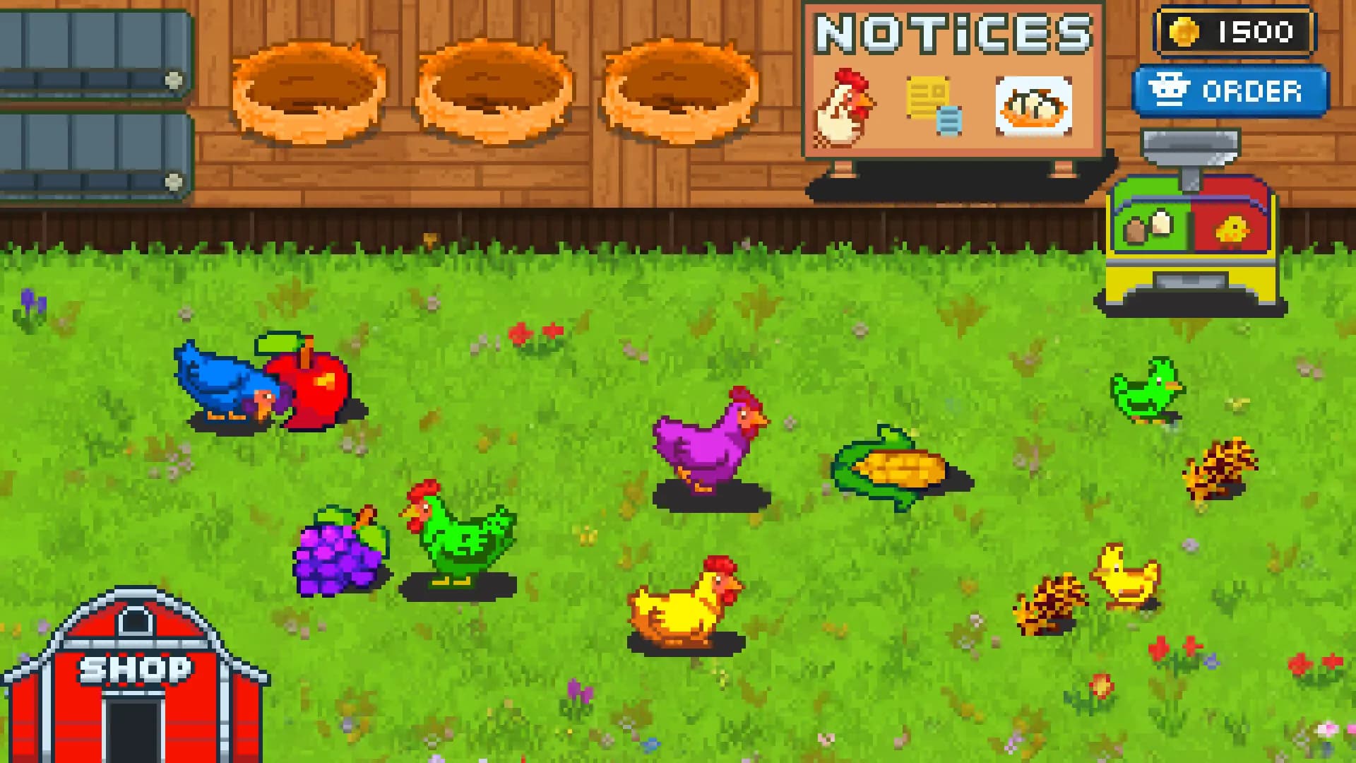 Rainbow Chickens görsel 2