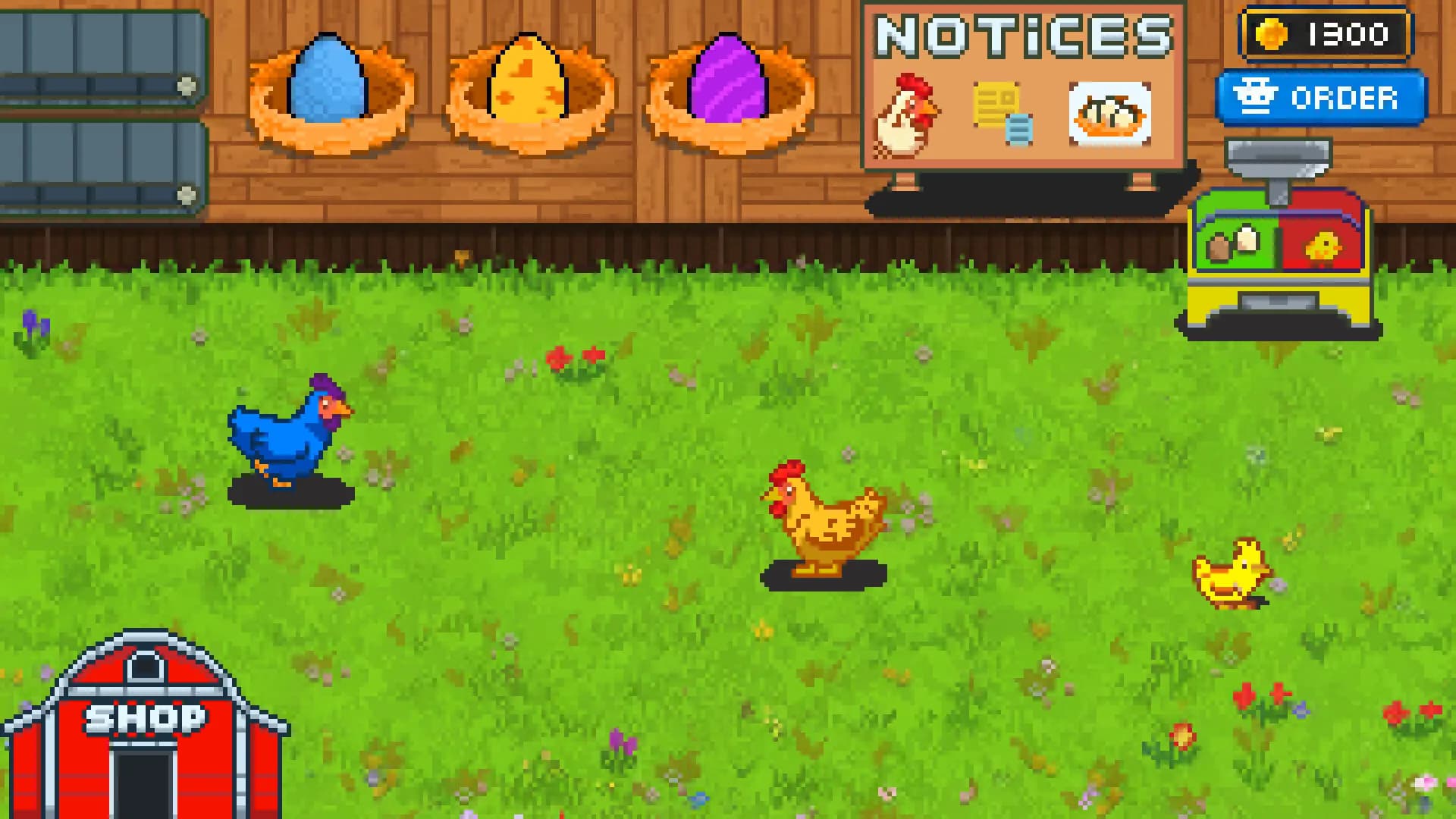 Rainbow Chickens görsel 3