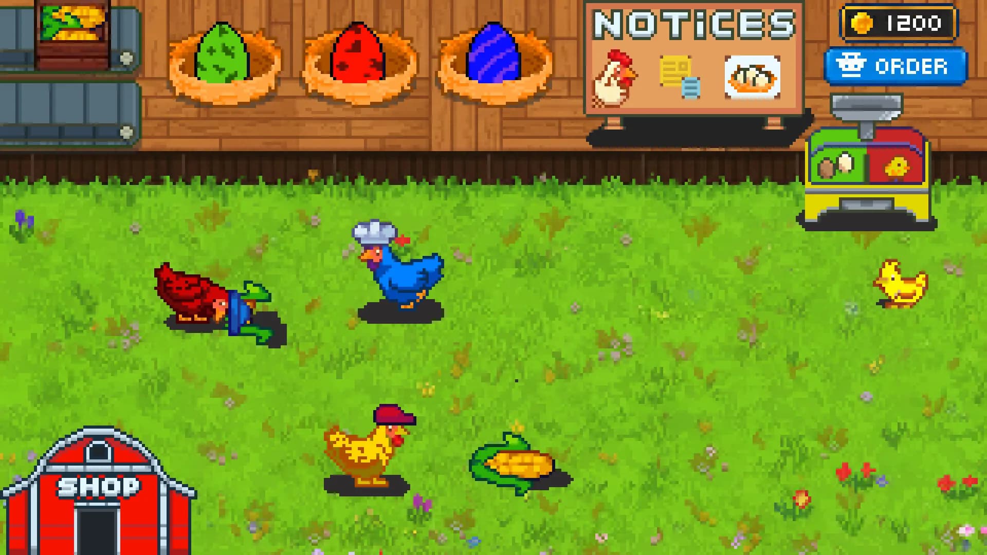 Rainbow Chickens görsel 4