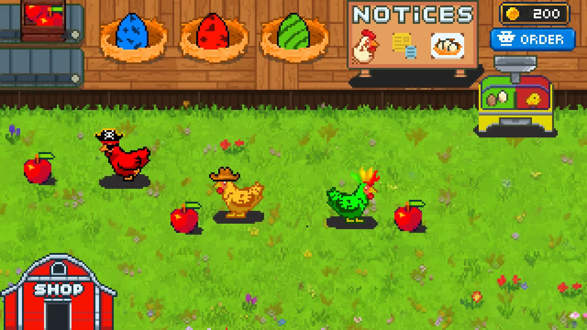 Rainbow Chickens görsel 5