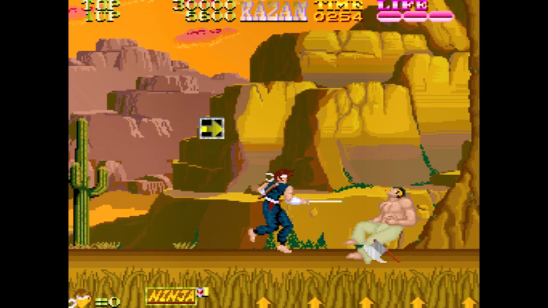 Jaleco Arcade Collection Vol.2 görsel 6