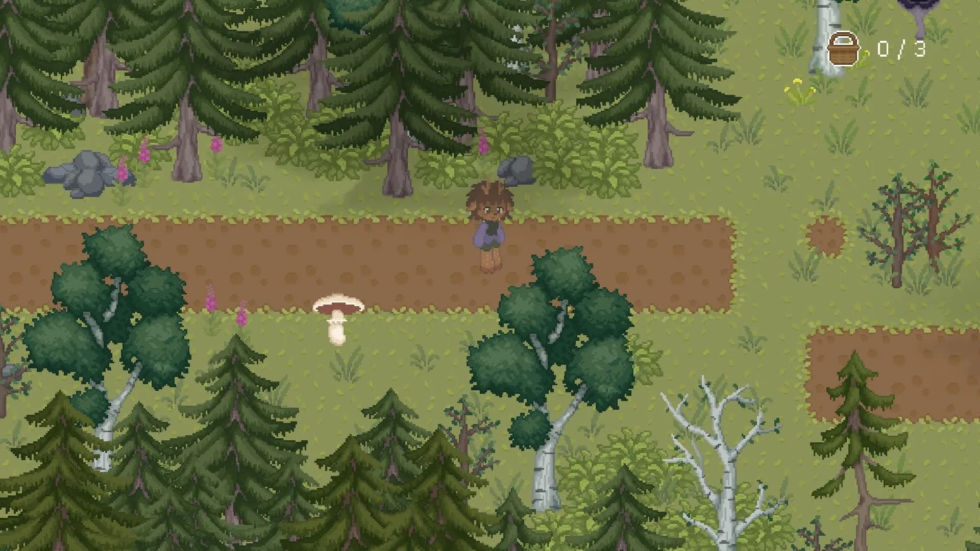 The Mushroom Journal görsel 2