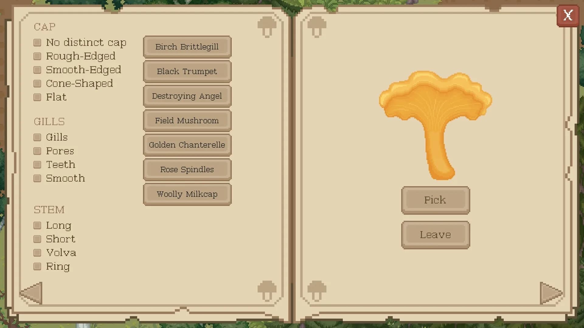 The Mushroom Journal görsel 3
