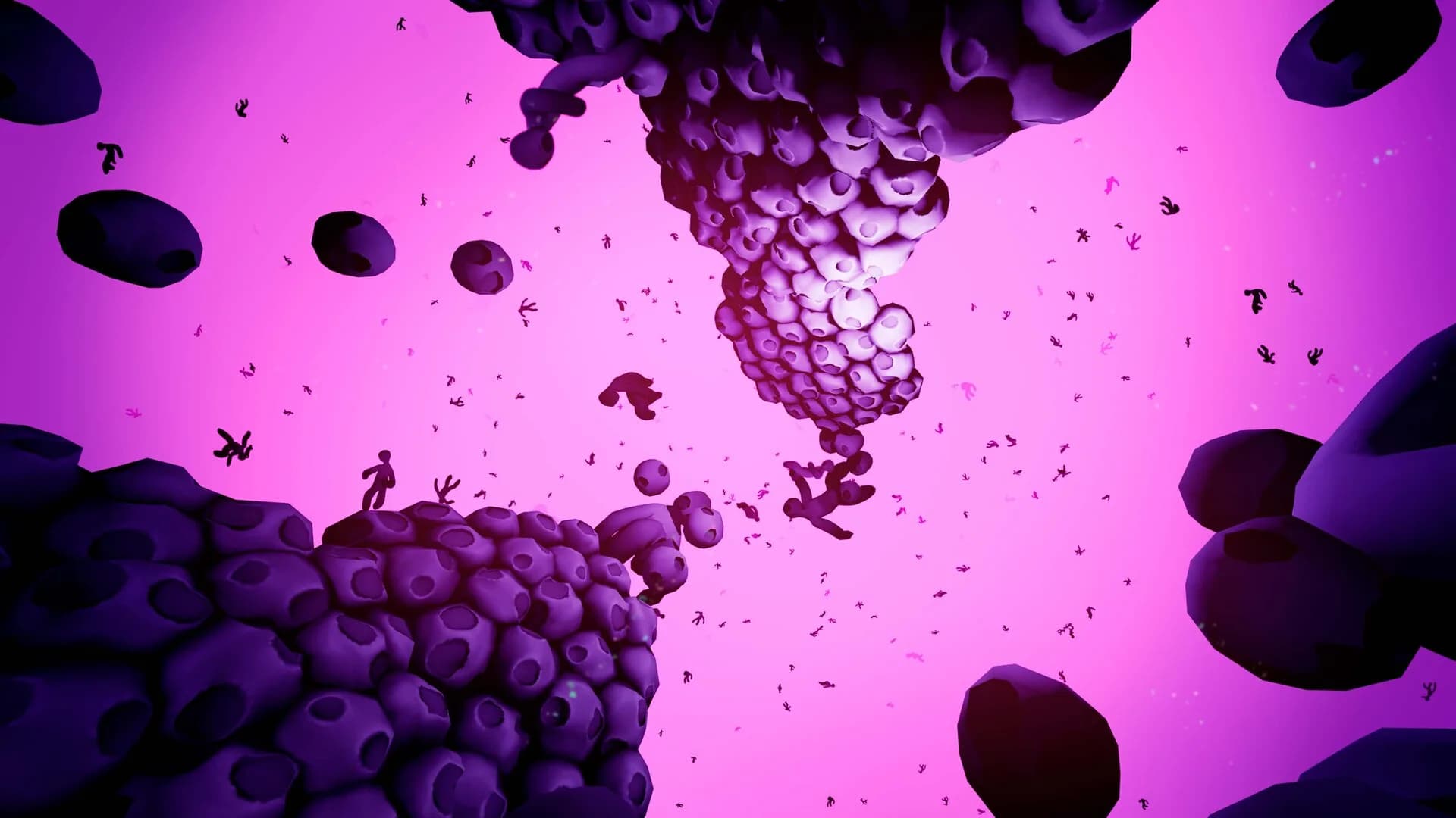 INORBS görsel 7