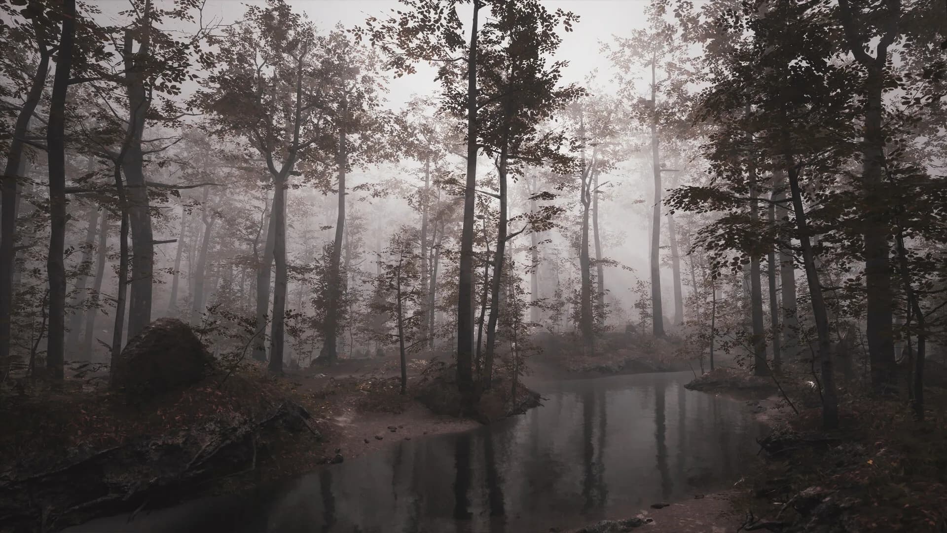 UNHOST görsel 7