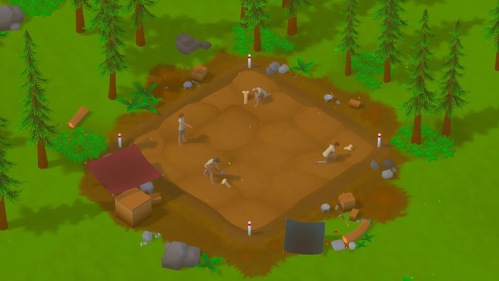 Paleo Collector görsel 6