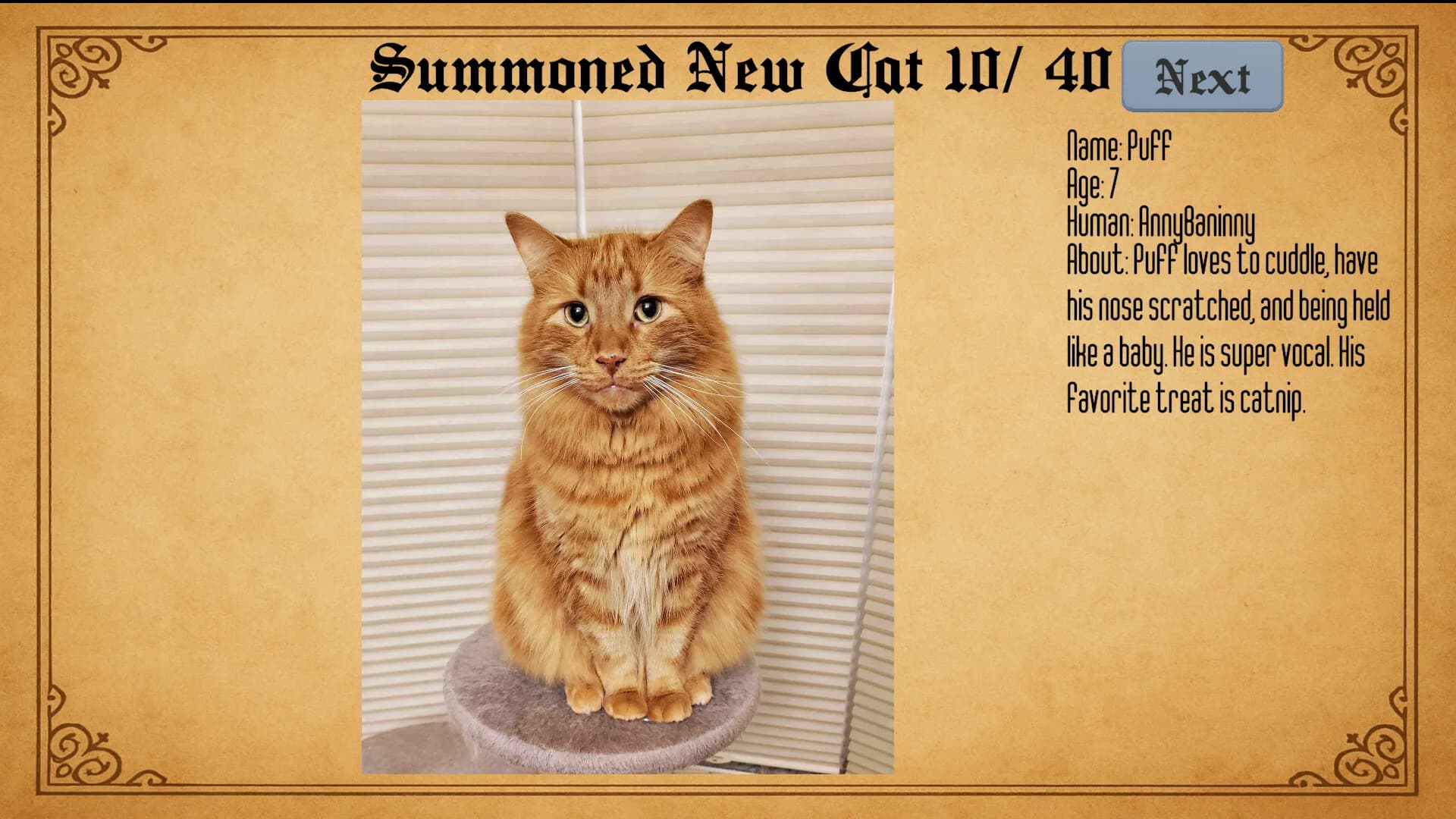 Kael's Cat Summoner görsel 3