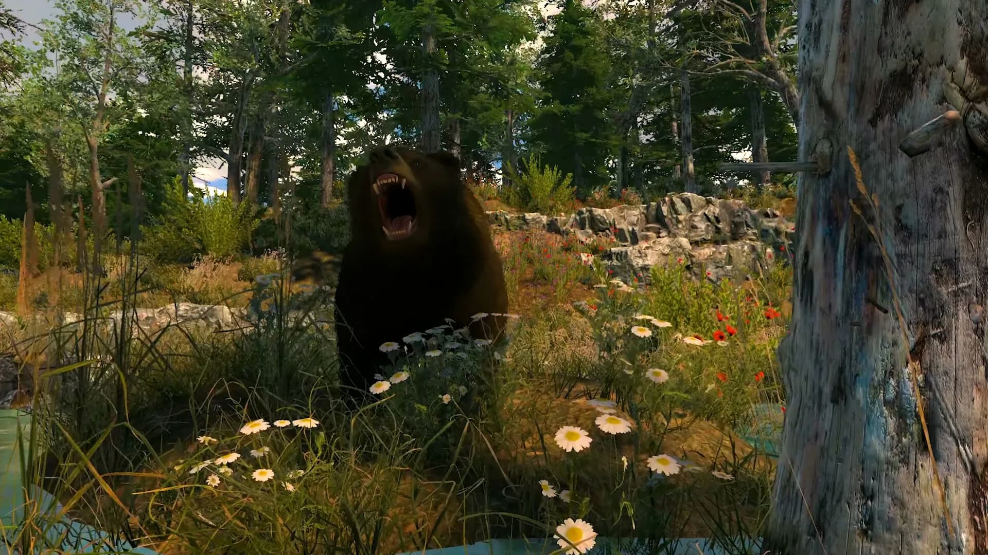 Capture The Wild görsel 3