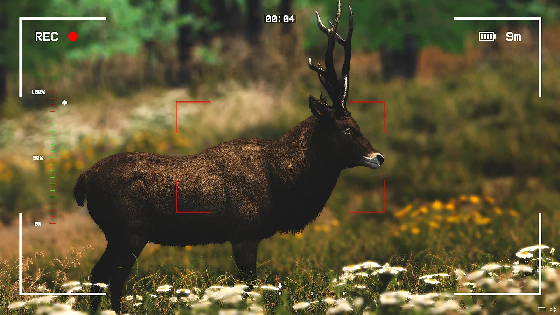 Capture The Wild görsel 8
