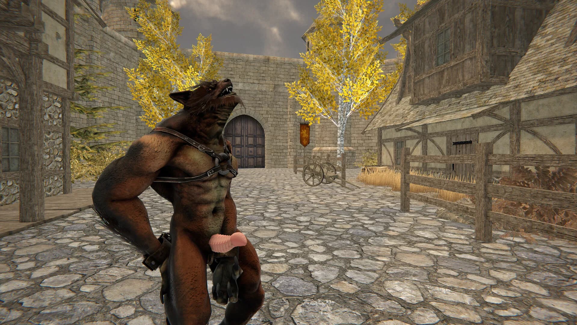 YOUR MEDIEVAL ADULT STORE görsel 7