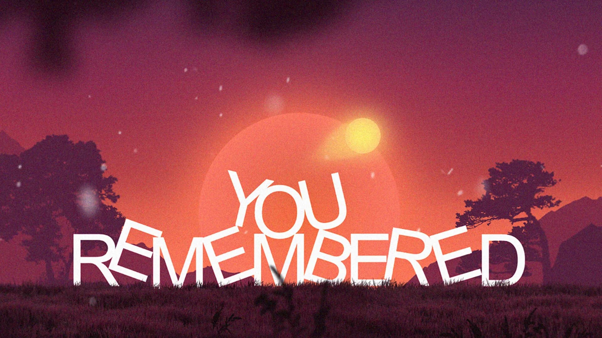 You Remembered görsel 8