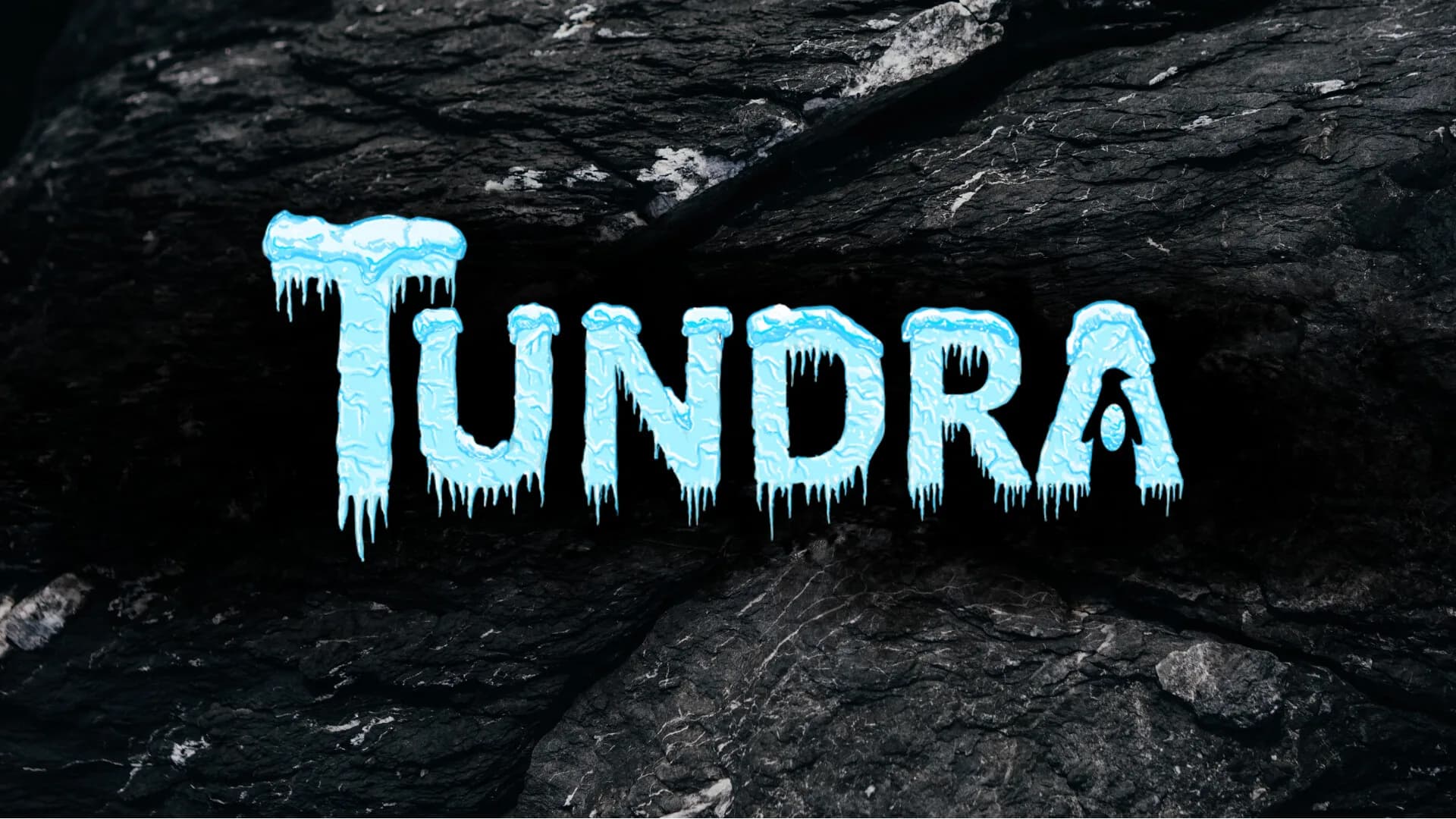 Tundra görsel 2
