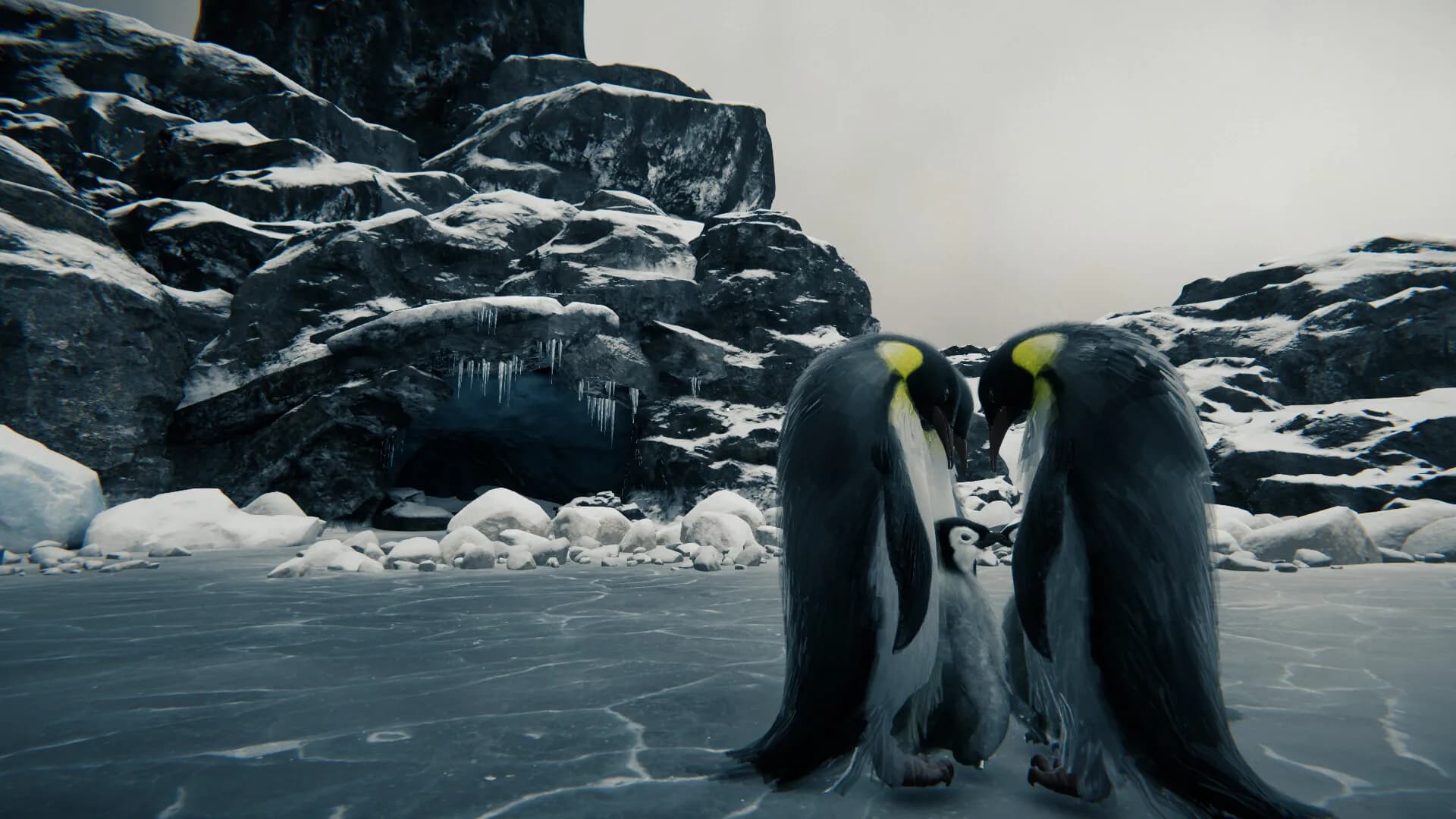 Tundra görsel 3