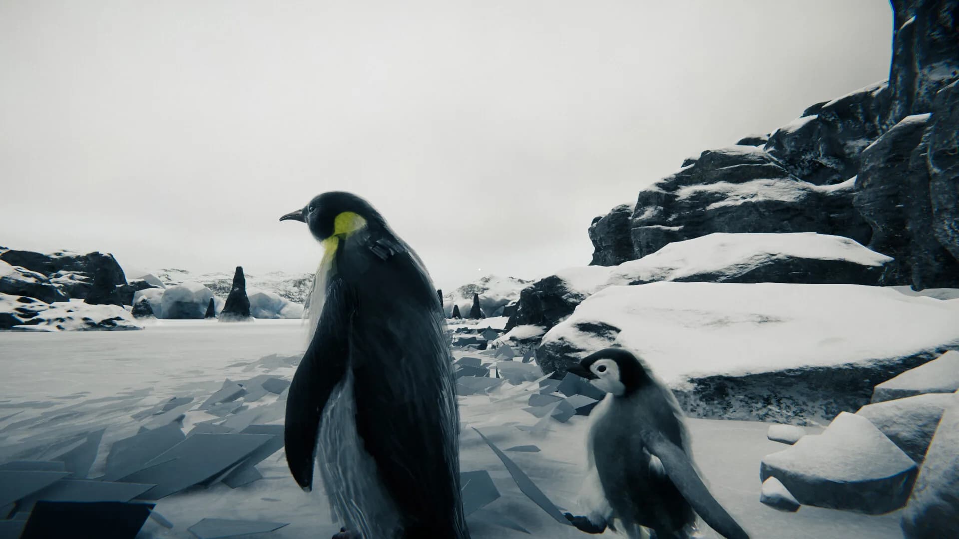 Tundra görsel 13