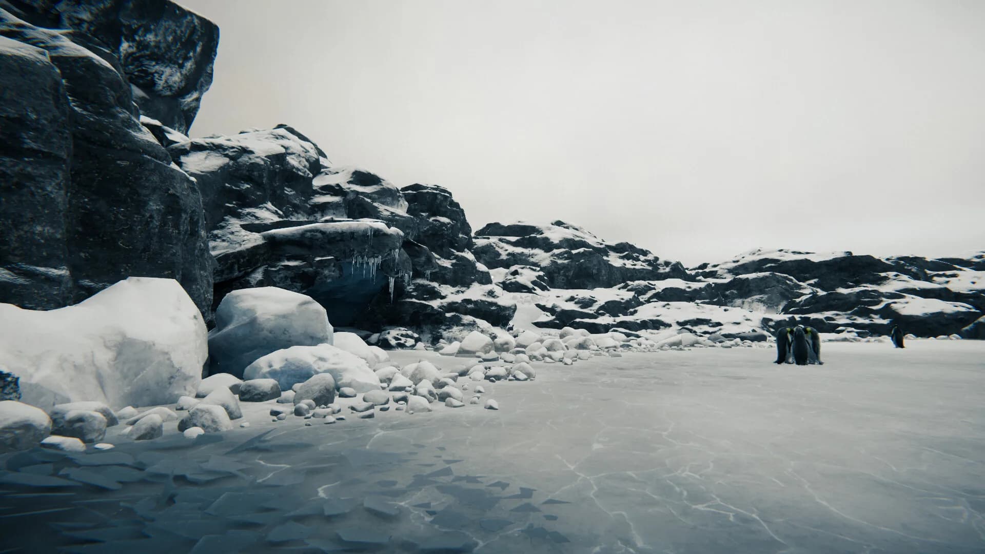 Tundra görsel 18