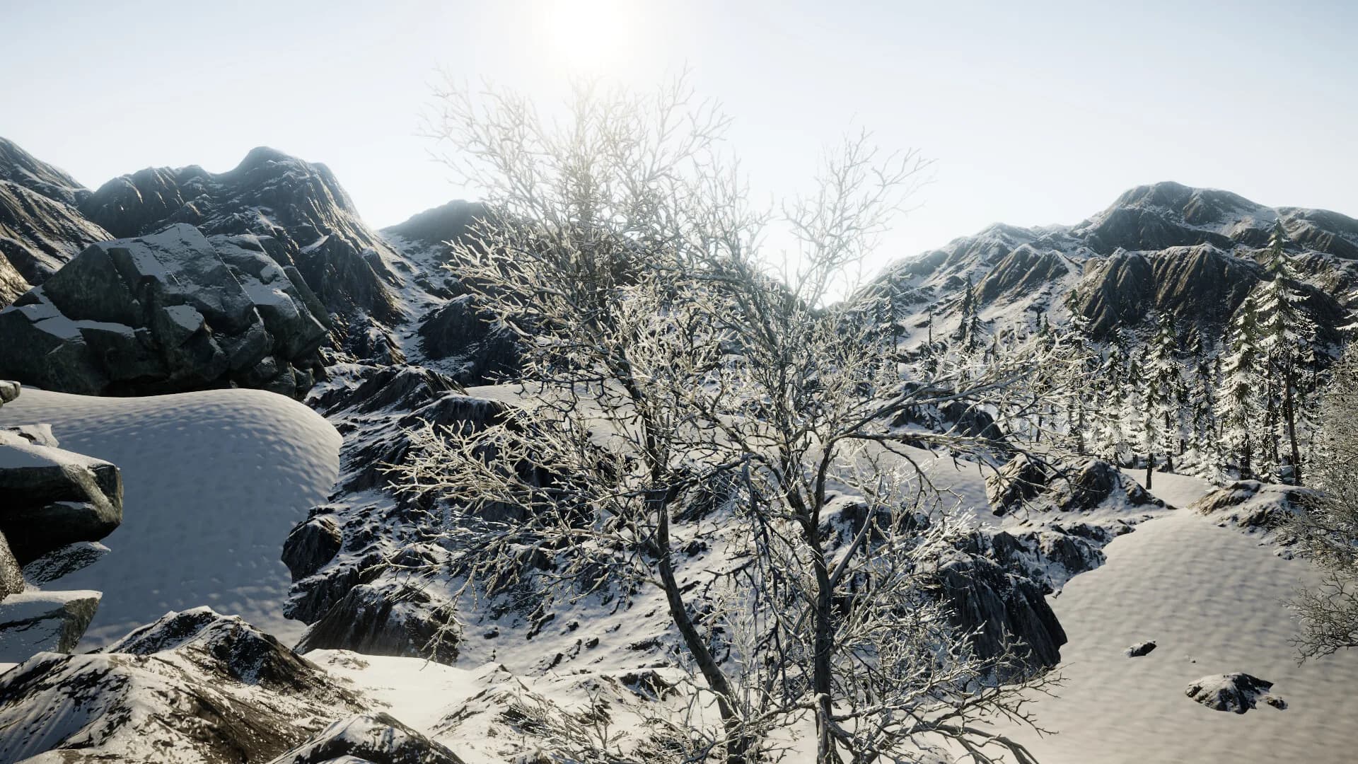 Tundra görsel 20