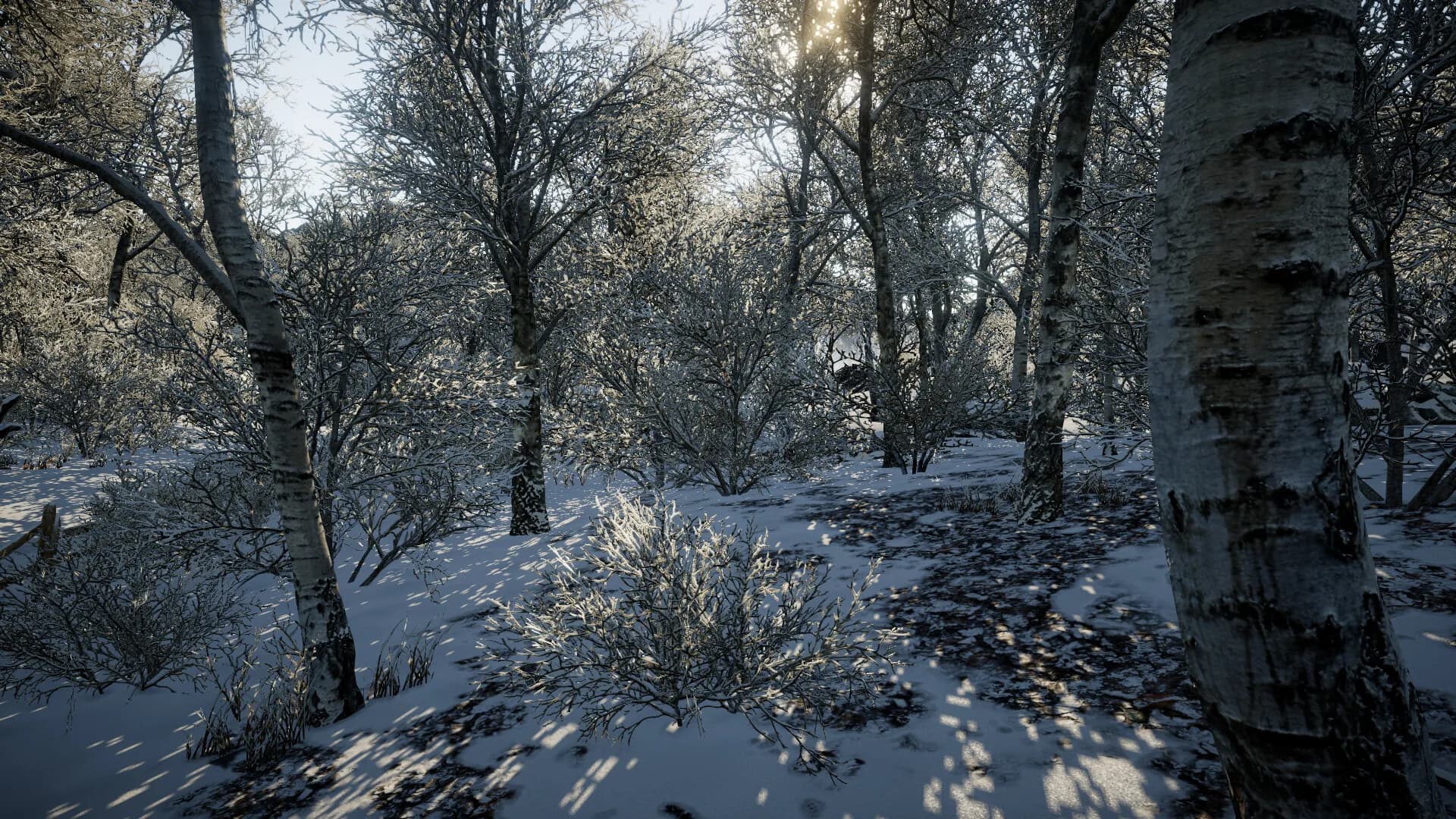 Tundra görsel 4