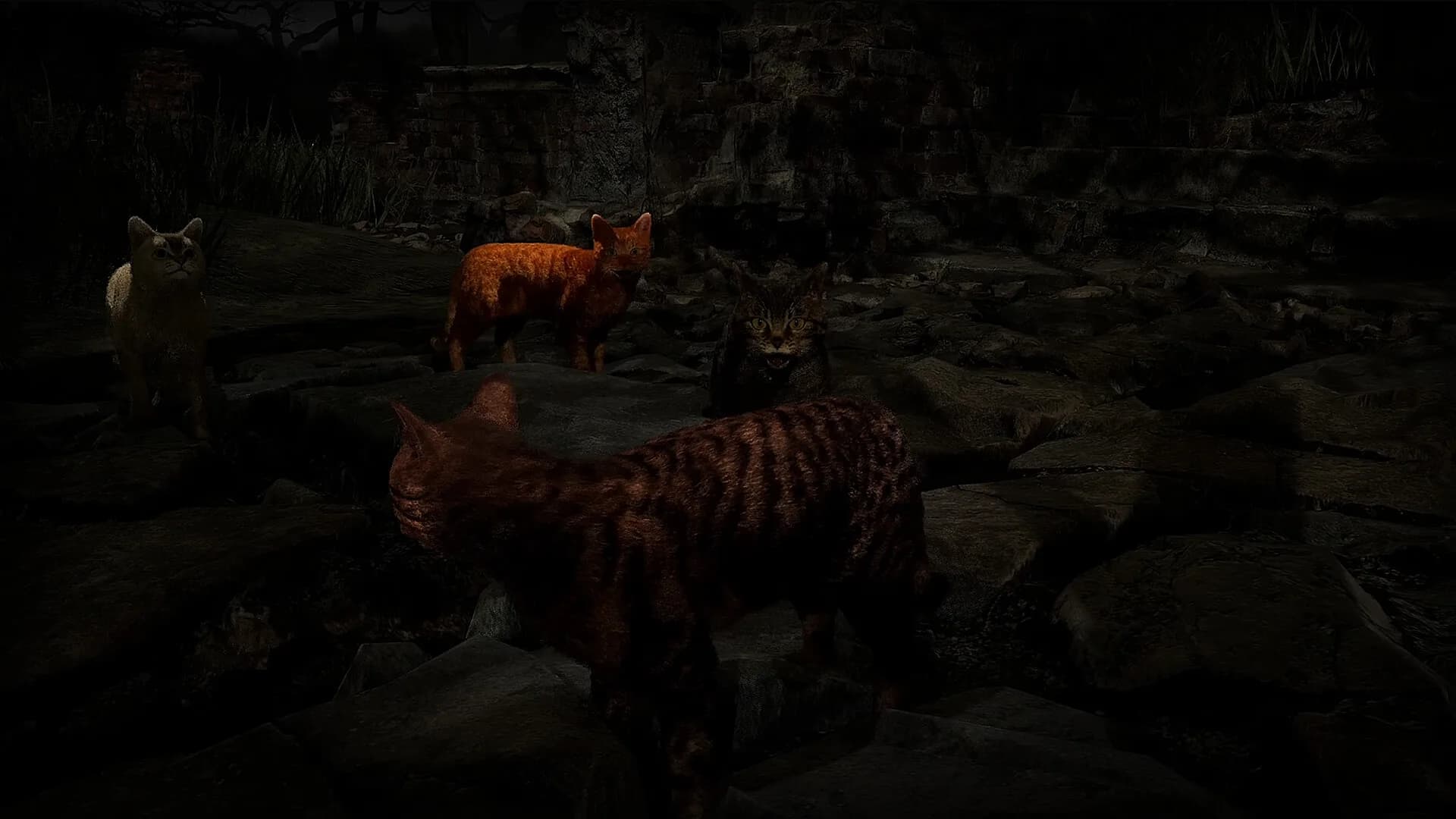 Meowmories görsel 6