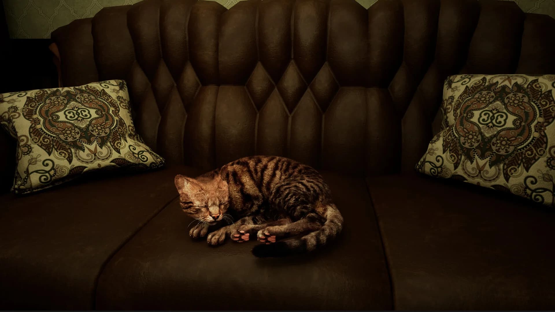 Meowmories görsel 8