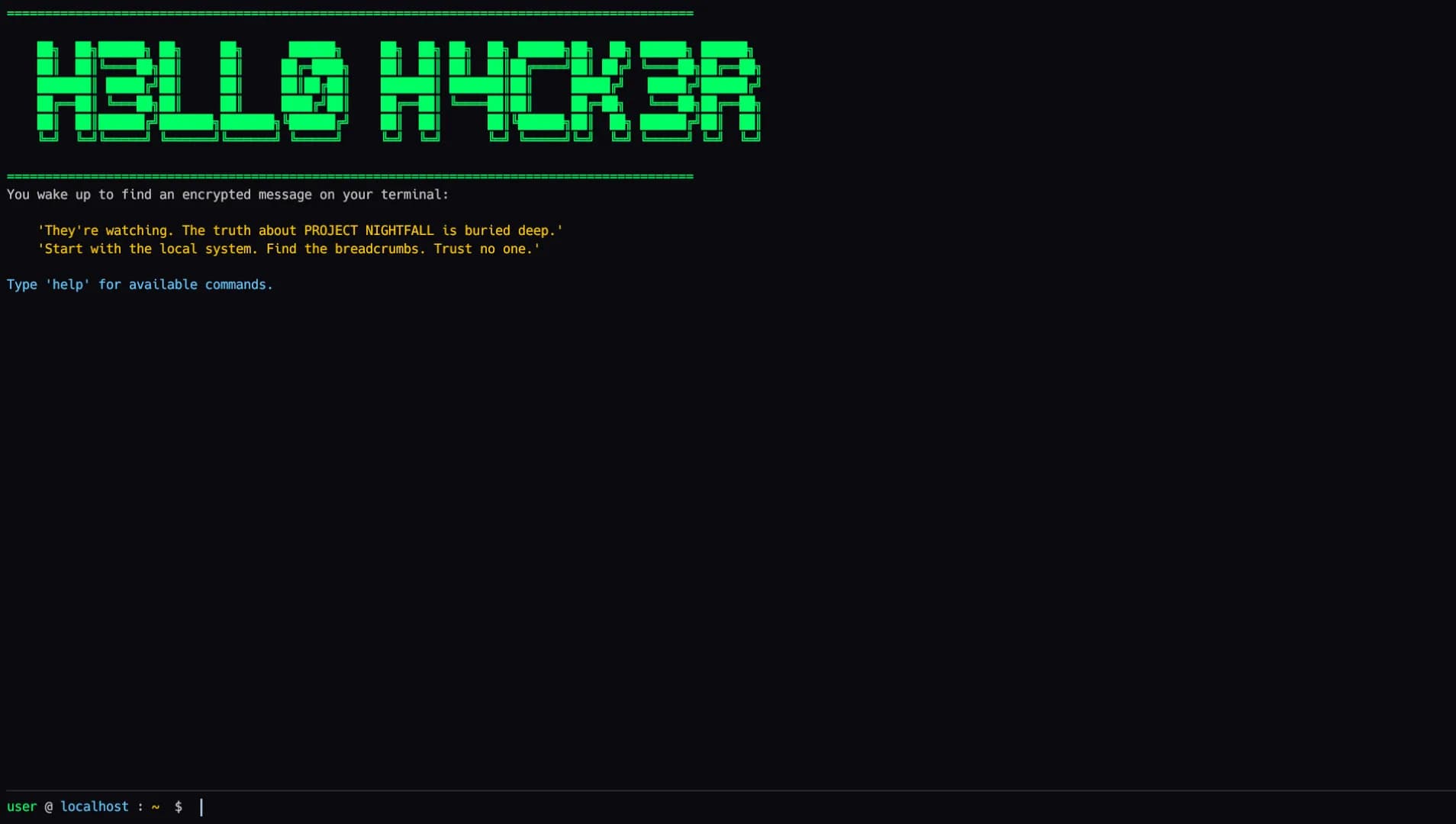 HELLO HACKER görsel 2