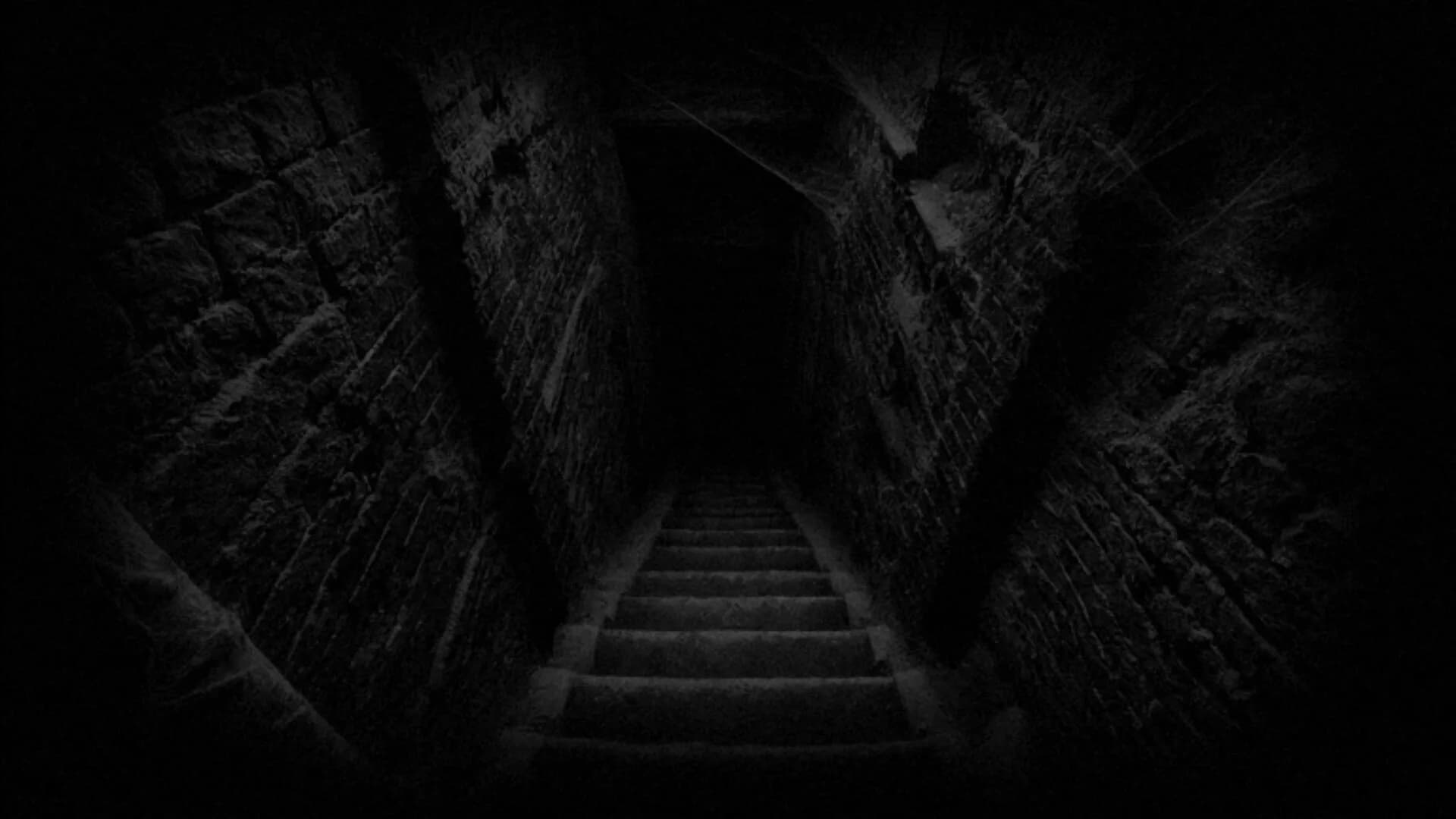 WITHER görsel 6