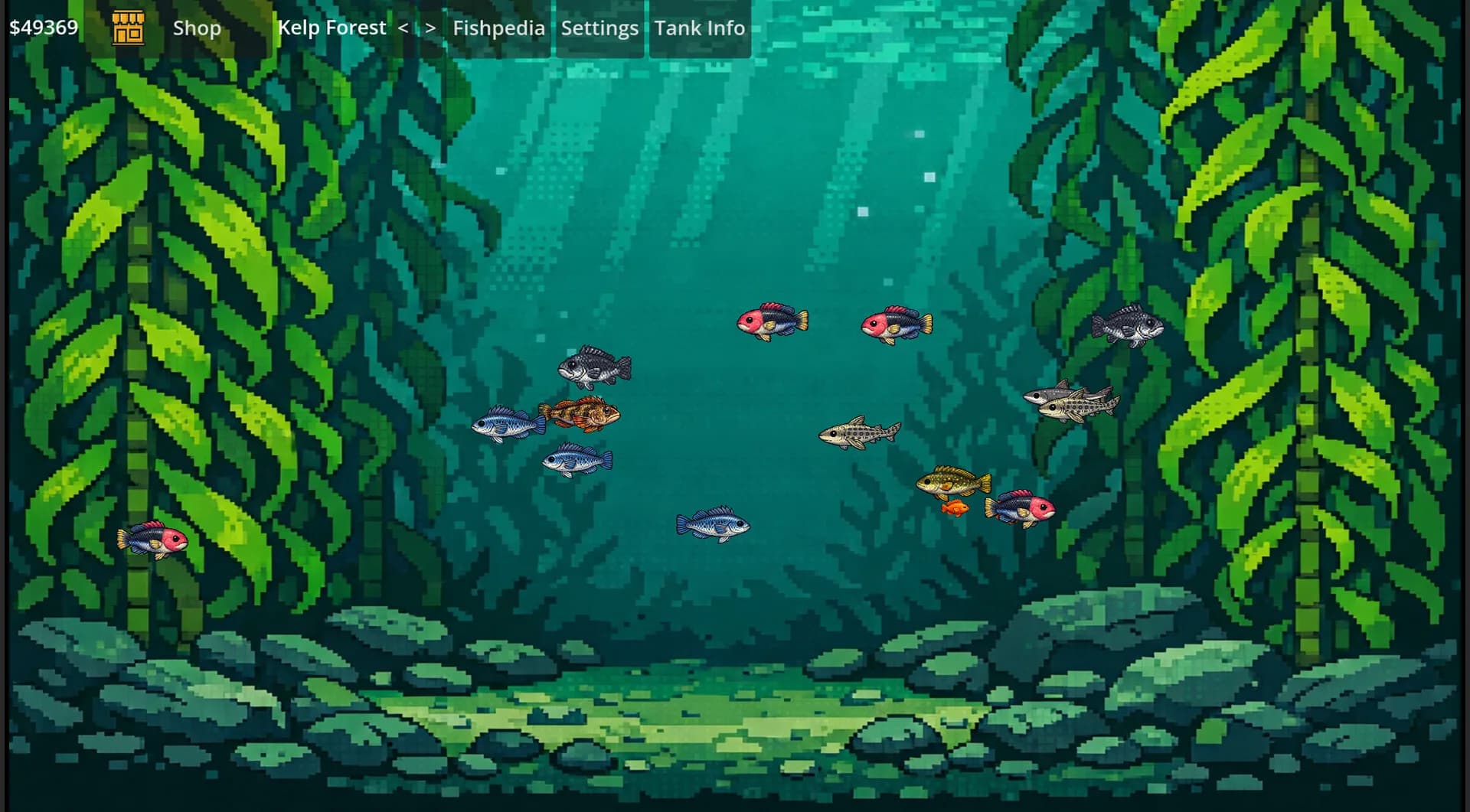 Omniquarium görsel 2