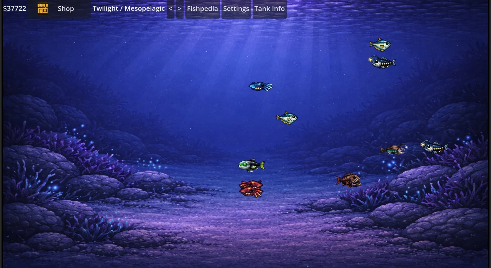 Omniquarium görsel 4