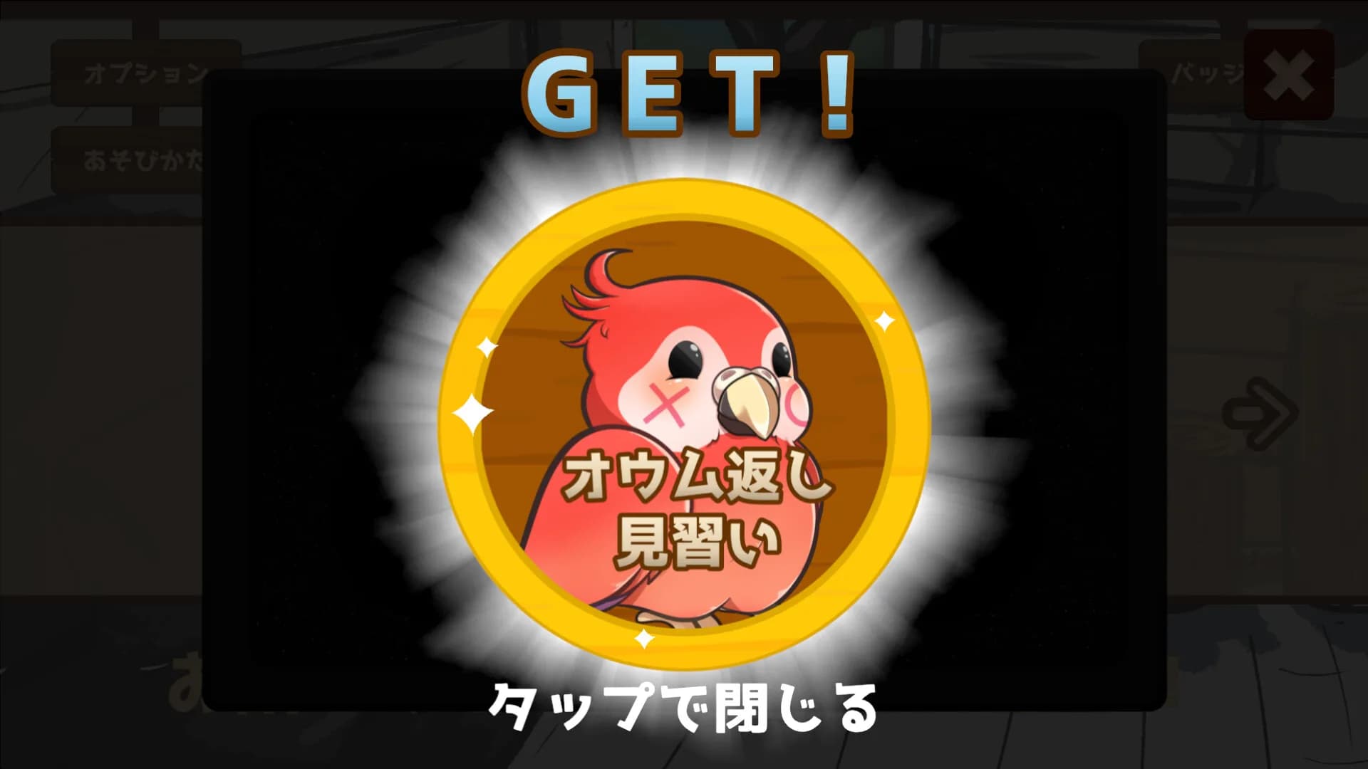 うちのオウムは変わり者 görsel 3