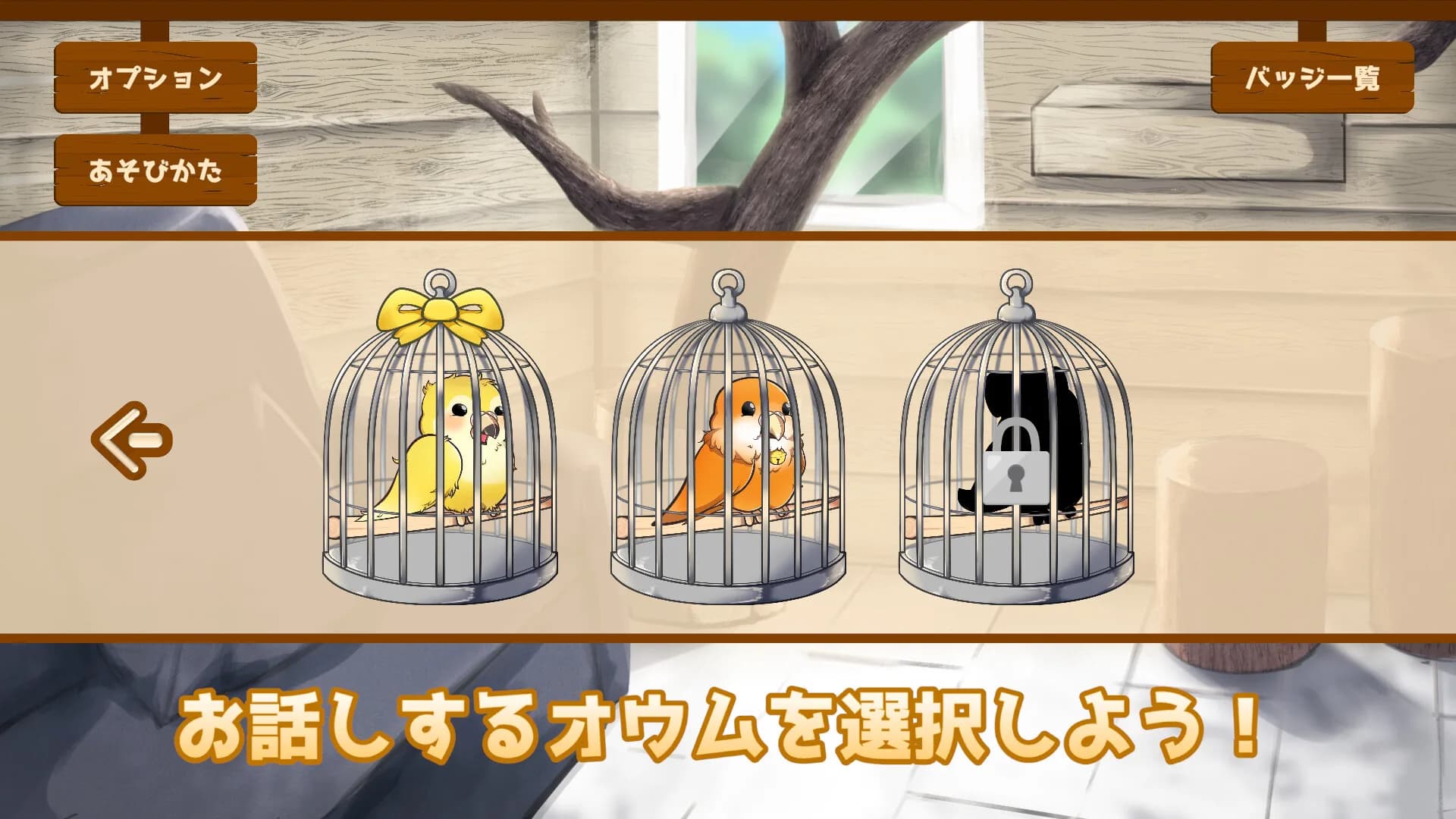 うちのオウムは変わり者 görsel 4