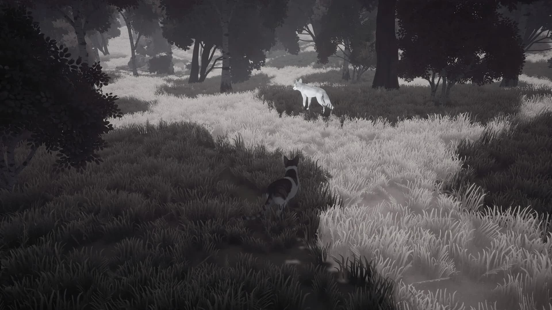 The Lost Paws görsel 3