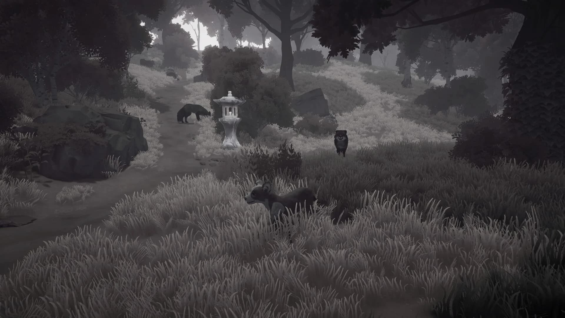 The Lost Paws görsel 4